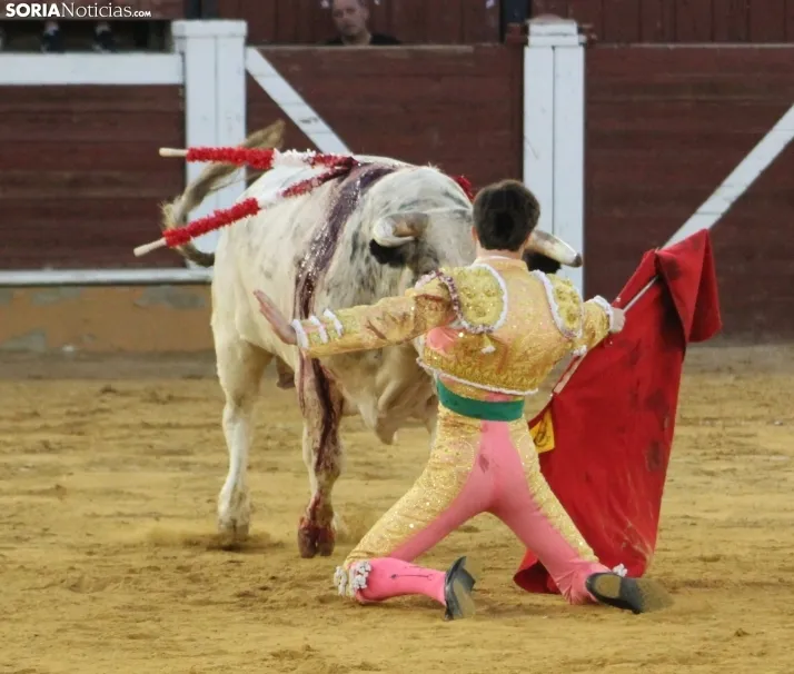 EN FOTOS | As&iacute; fue la novillada con picadores mixta de San Saturio 2023