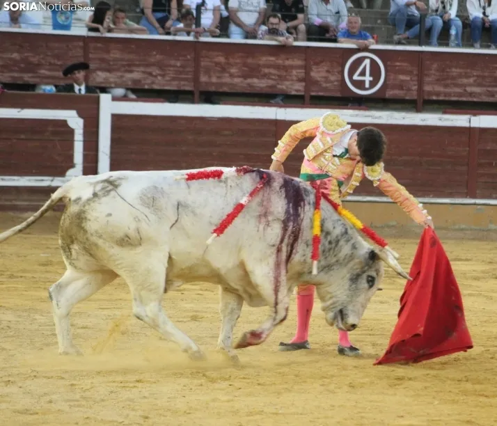 EN FOTOS | As&iacute; fue la novillada con picadores mixta de San Saturio 2023