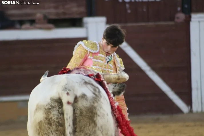 EN FOTOS | As&iacute; fue la novillada con picadores mixta de San Saturio 2023