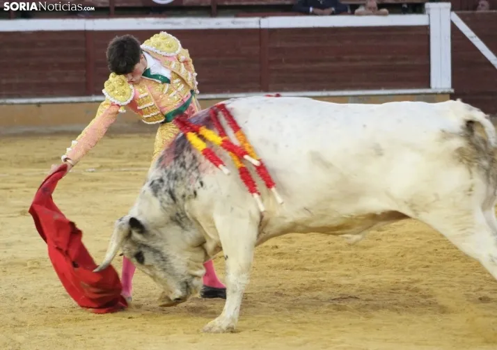 EN FOTOS | As&iacute; fue la novillada con picadores mixta de San Saturio 2023