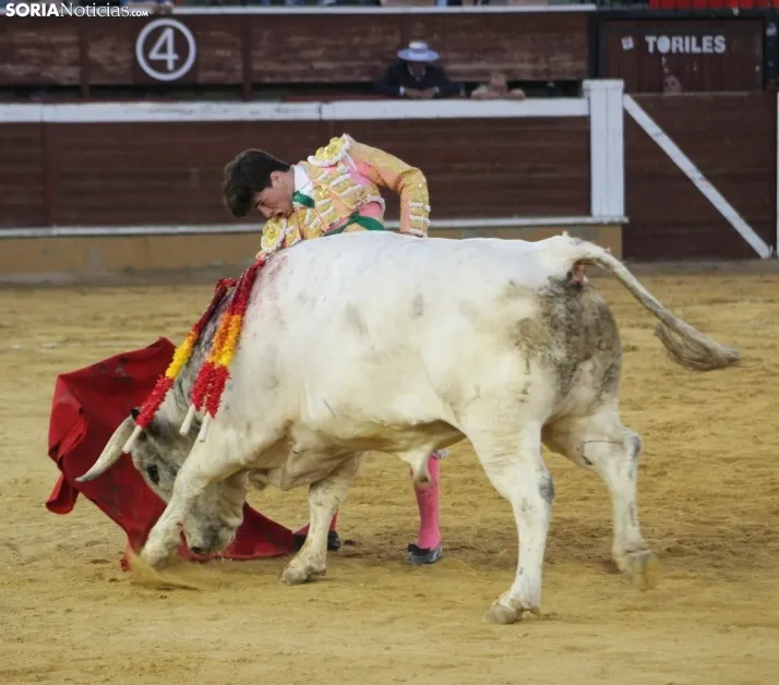 EN FOTOS | As&iacute; fue la novillada con picadores mixta de San Saturio 2023