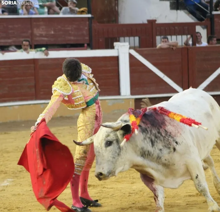 EN FOTOS | As&iacute; fue la novillada con picadores mixta de San Saturio 2023