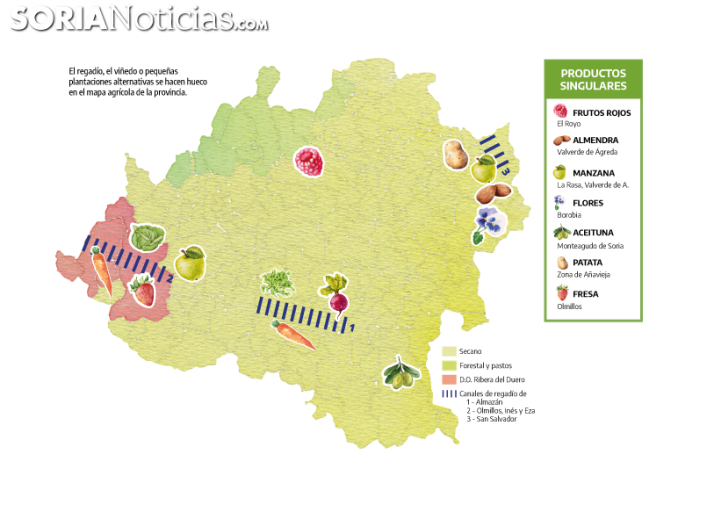 Localización de los cultivos singulares en la provincia de Soria