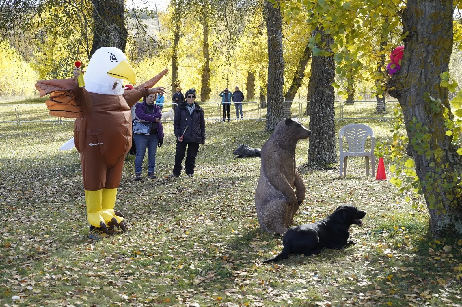 Foto 2 - Estos son los ganadores de la prueba de la Copa de Espa&ntilde;a de Obediencia Canina que ha tenido lugar en Almaz&aacute;n