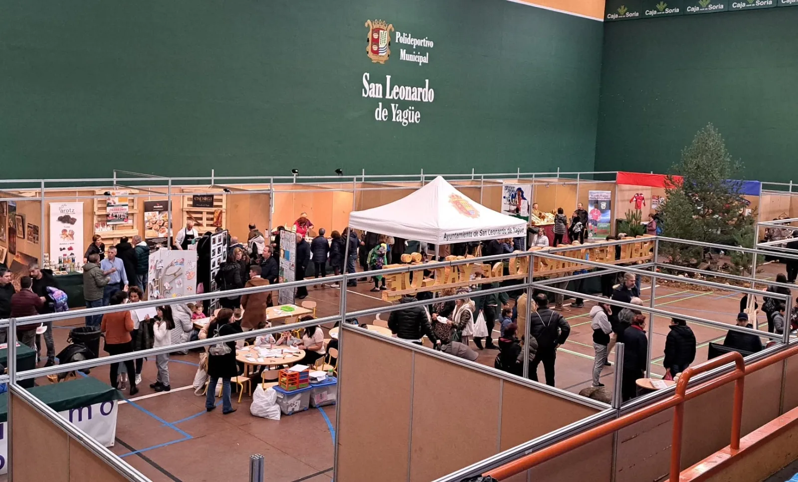 Foto 2 - &Eacute;xito de p&uacute;blico en una Feria Micol&oacute;gica de San Leonardo que re&uacute;ne 80 tipos diferentes de setas