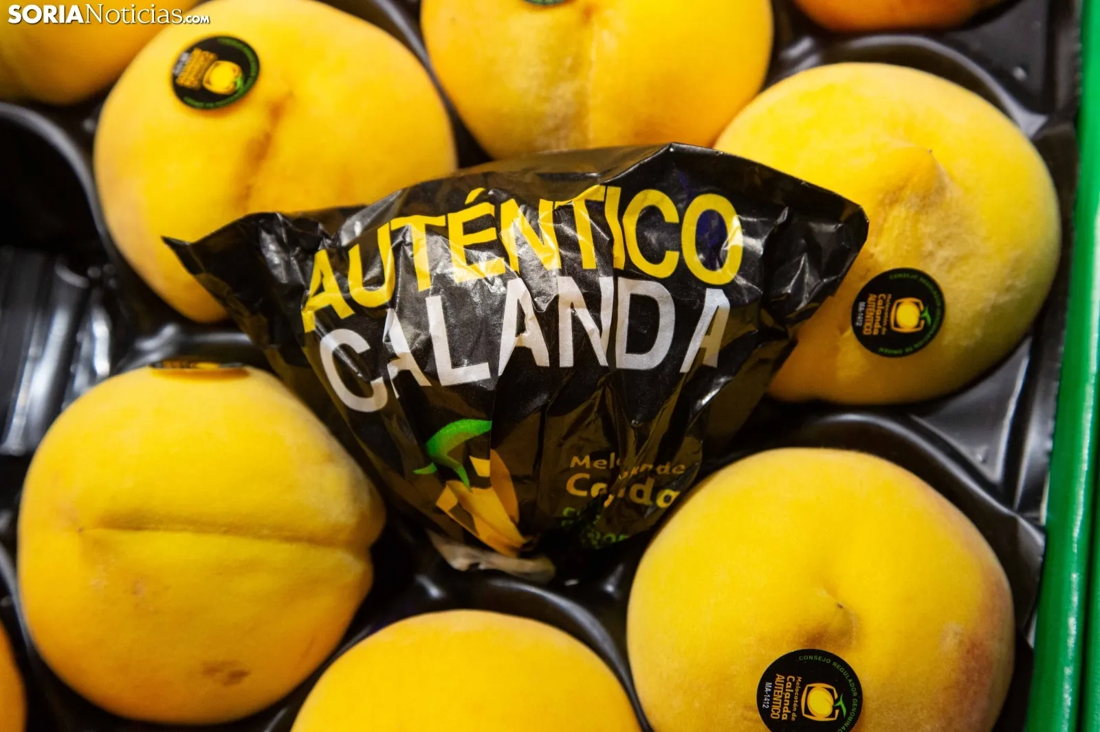 Foto 9 - Cambio generacional: vuelve Frutas Mar&iacute;n