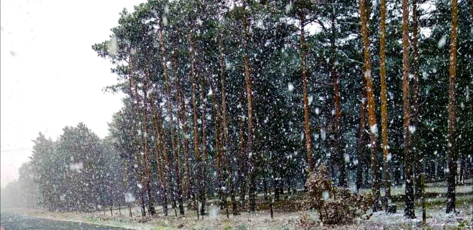 Nevada esta mañana de martes en Duruelo de la Sierra. /AS