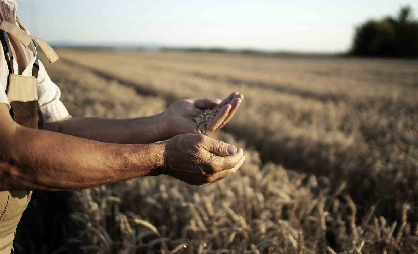 La gran pregunta a la que se enfrentan los agricultores de Soria -  SoriaNoticias