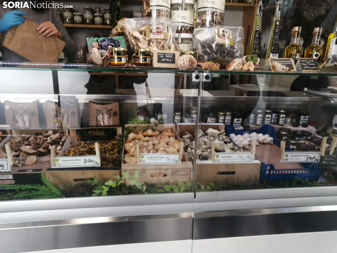 Foto 2 - Micolog&iacute;a | As&iacute; est&aacute; el precio de las setas en Soria: los boletus y los n&iacute;scalos escasean