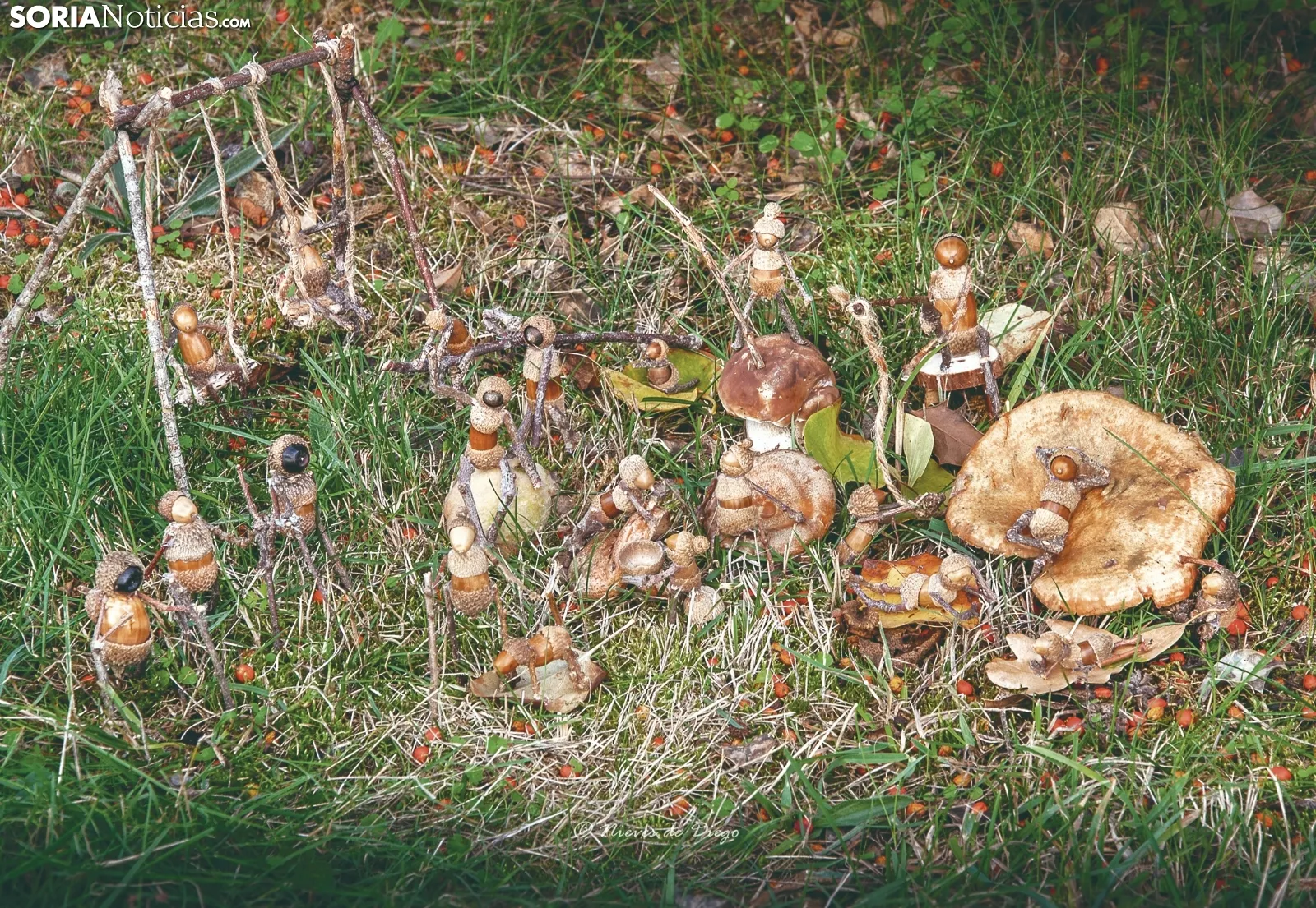 Foto 10 - El clan de 'Los Picus', un arte muy diminuto