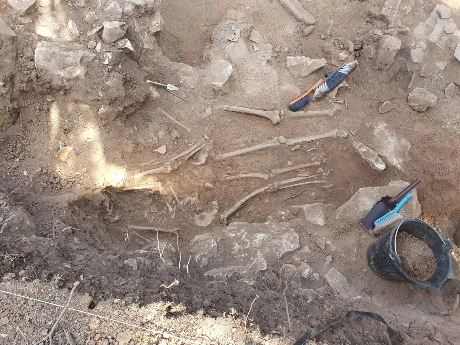Foto 2 - Sorianos: &iquest;Romanos o celt&iacute;beros? Una cuesti&oacute;n de ADN