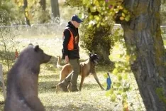 Foto 4 - Estos son los ganadores de la prueba de la Copa de Espa&ntilde;a de Obediencia Canina que ha tenido lugar en Almaz&aacute;n