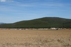 Una imagen de esta mañana de domingo en Campiserrado. /SN