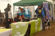 Una imagen de esta mañana de domingo en Campiserrado. /SN