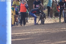 Una imagen de esta mañana de domingo en Campiserrado. /SN