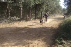 Una imagen de esta mañana de domingo en Campiserrado. /SN