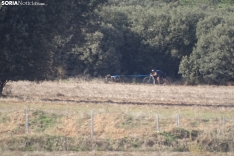 Una imagen de esta mañana de domingo en Campiserrado. /SN