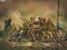 Foto 12 - El clan de 'Los Picus', un arte muy diminuto