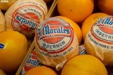 Foto 7 - Cambio generacional: vuelve Frutas Mar&iacute;n