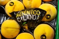 Foto 9 - Cambio generacional: vuelve Frutas Mar&iacute;n