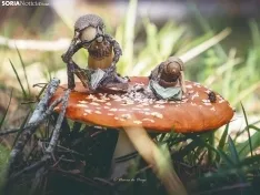 Foto 5 - El clan de 'Los Picus', un arte muy diminuto
