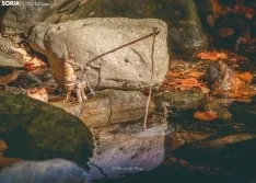 Foto 3 - El clan de 'Los Picus', un arte muy diminuto