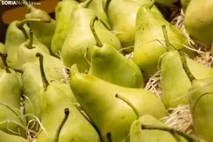 Foto 4 - Cambio generacional: vuelve Frutas Mar&iacute;n