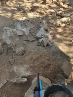 Foto 4 - Sorianos: &iquest;Romanos o celt&iacute;beros? Una cuesti&oacute;n de ADN