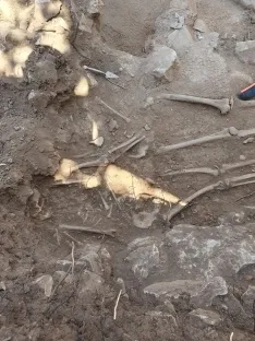 Foto 3 - Sorianos: &iquest;Romanos o celt&iacute;beros? Una cuesti&oacute;n de ADN