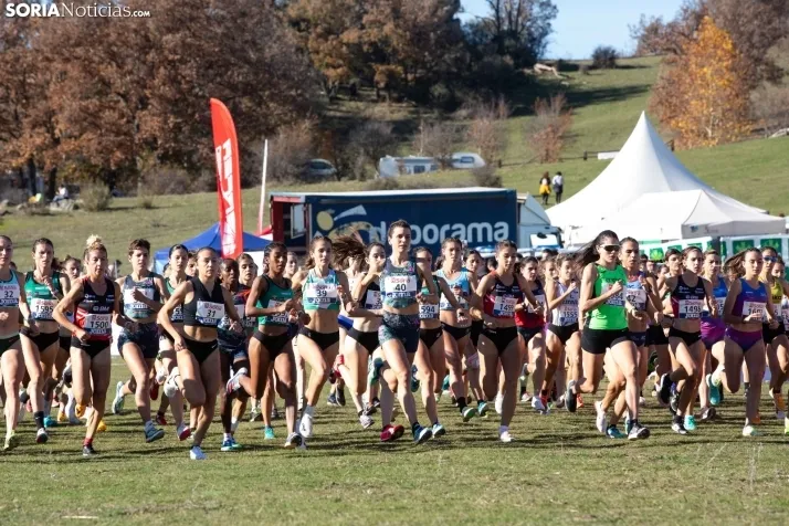 Cross Internacional de Soria 