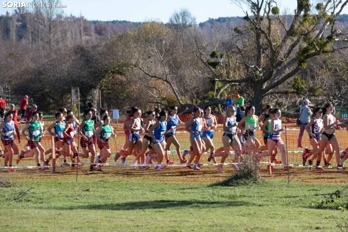 Cross Internacional de Soria 