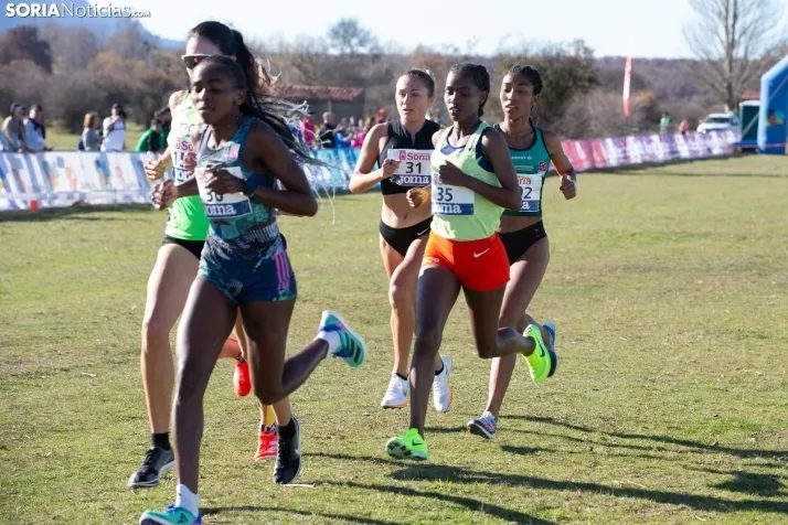 Cross Internacional de Soria 