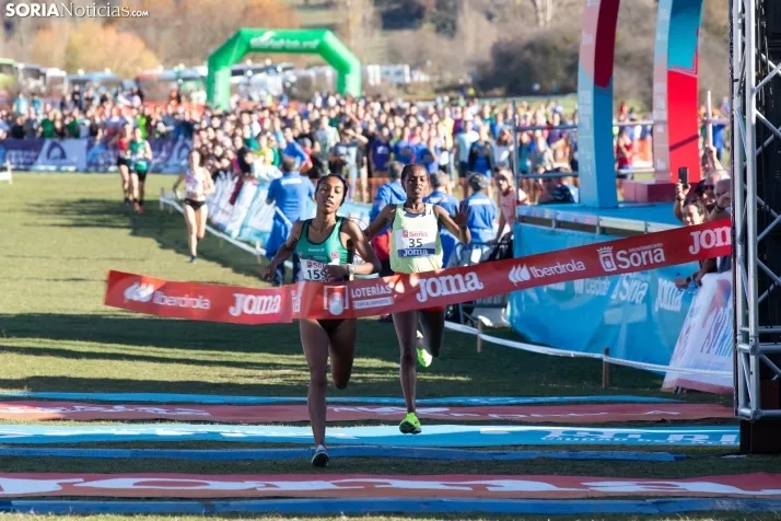 Cross Internacional de Soria 