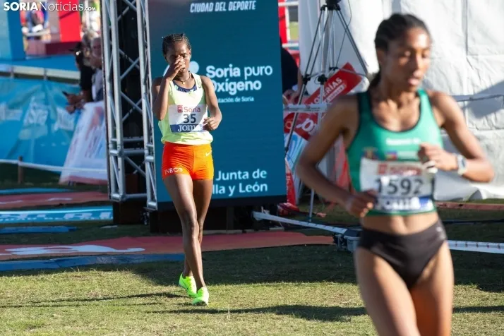 Cross Internacional de Soria 