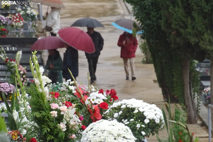 Una imagen del cementerio municipal de Soria esta mañana de miércoles. /SN