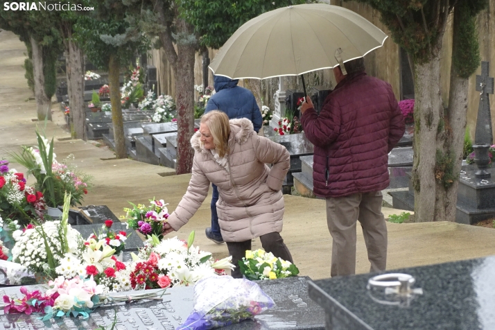 Una imagen del cementerio municipal de Soria esta mañana de miércoles. /SN