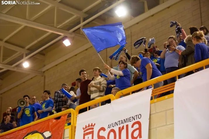 Copa CEV: Grupo Herce vs OK Vojvodina