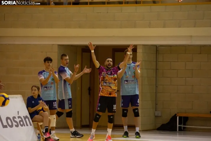 Copa CEV: Grupo Herce vs OK Vojvodina
