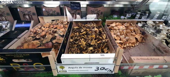 Setas: Estos son los precios ahora