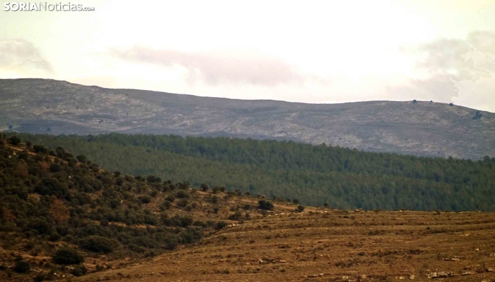 Sol en toda la provincia con algún termómetro bajo cero este domingo
