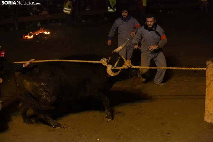 Toro Jubilo 2023