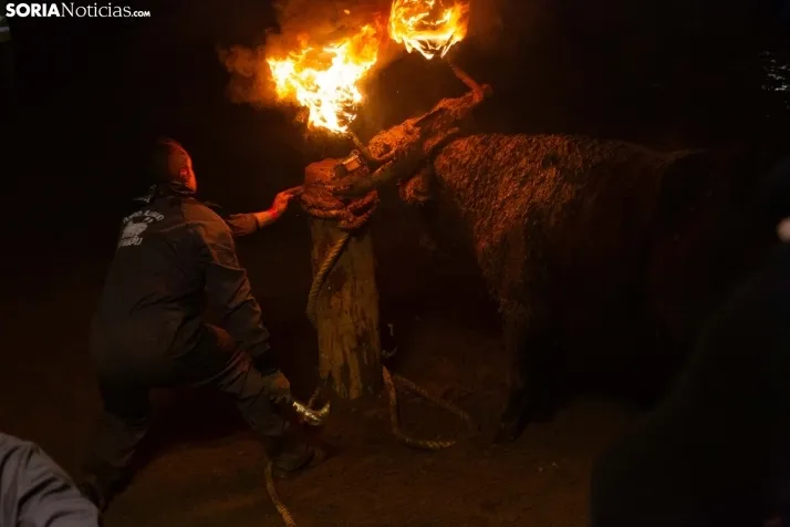 Toro Jubilo 2023
