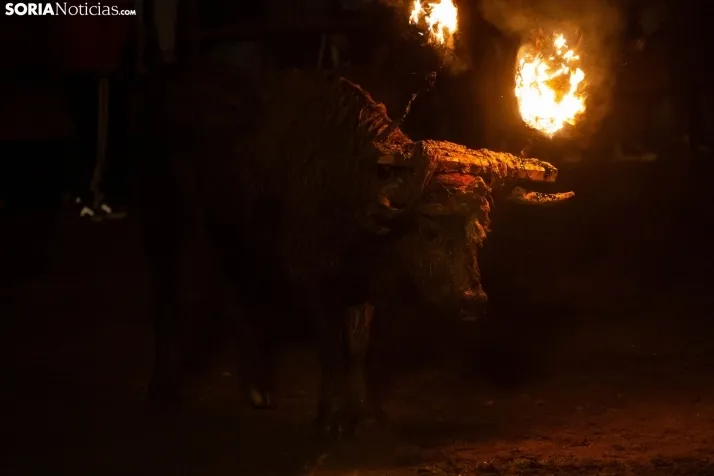 Toro Jubilo 2023