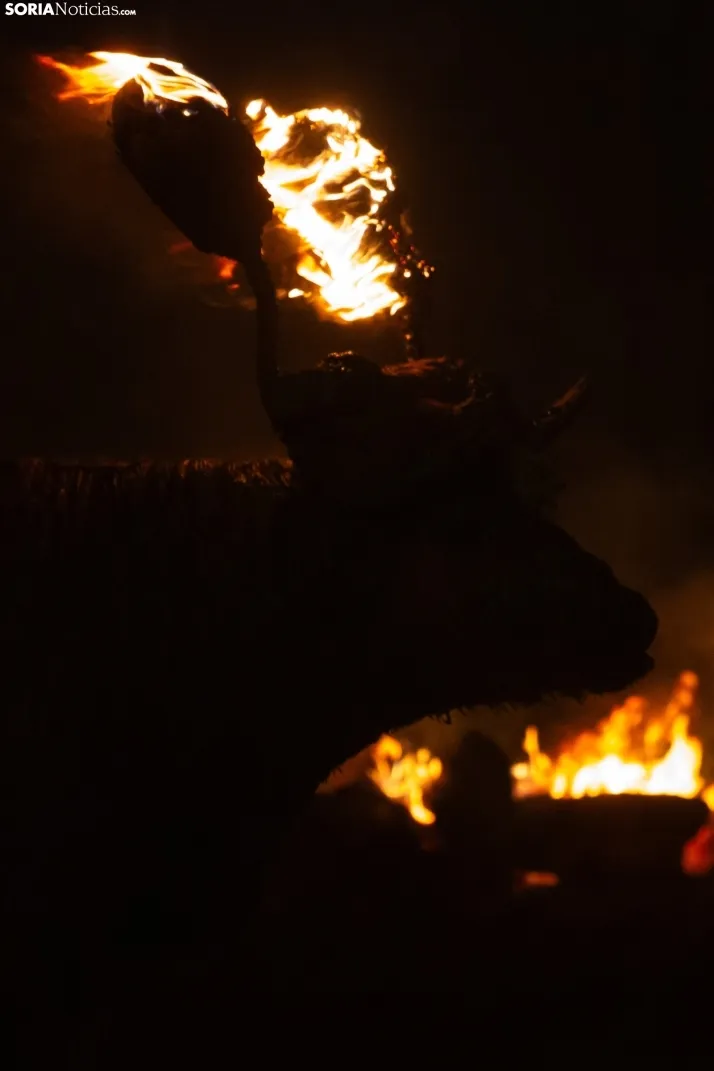 Toro Jubilo 2023