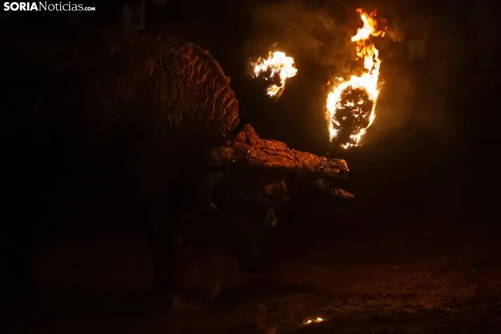 Toro Jubilo 2023