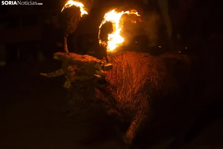 Toro Jubilo 2023