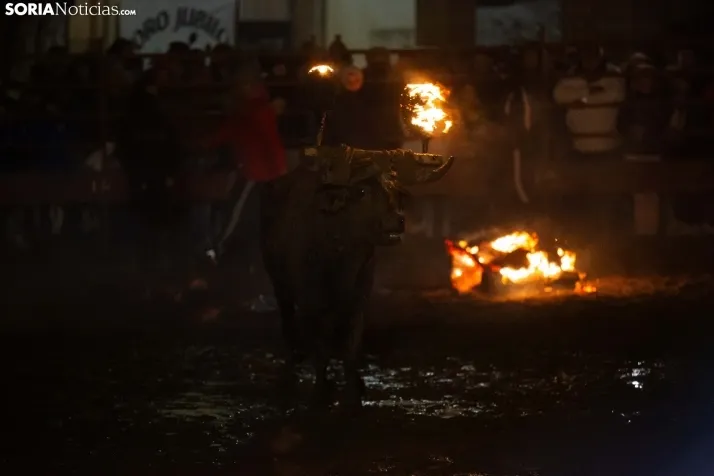 Toro Jubilo 2023