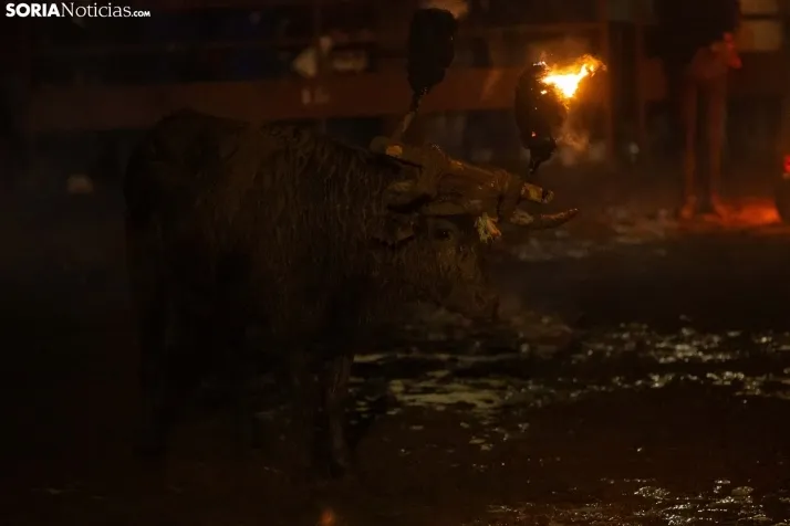 Toro Jubilo 2023