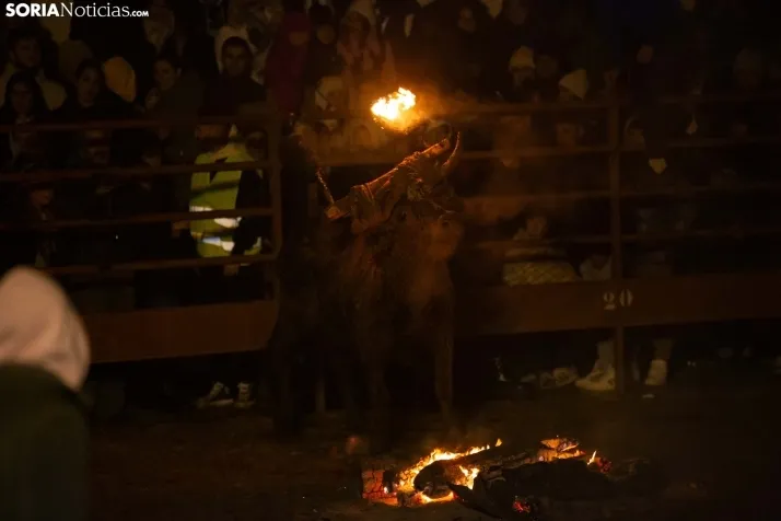 Toro Jubilo 2023