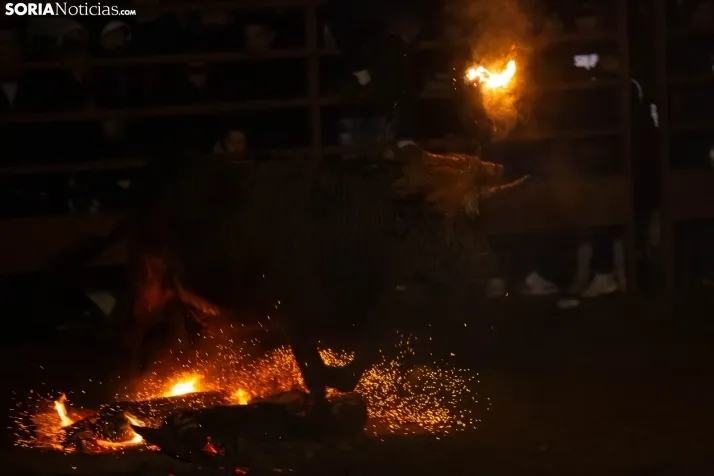 Toro Jubilo 2023